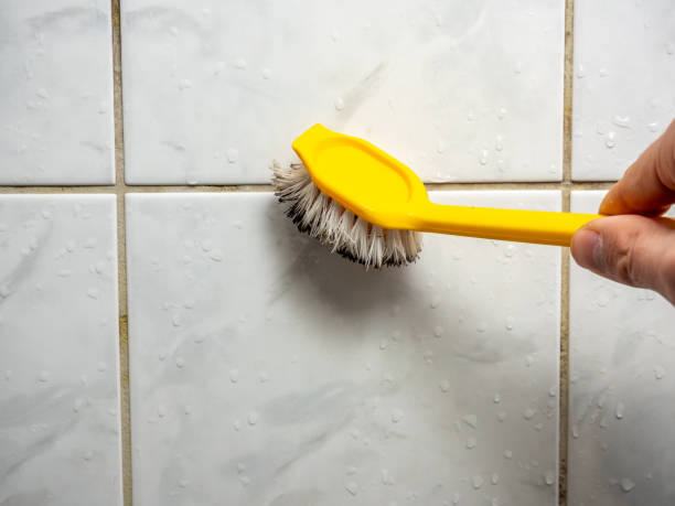Best Commercial Mold Removal  in Ramona, CA
