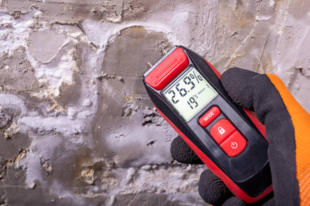 Trusted Ramona, CA Mold Removal Experts
